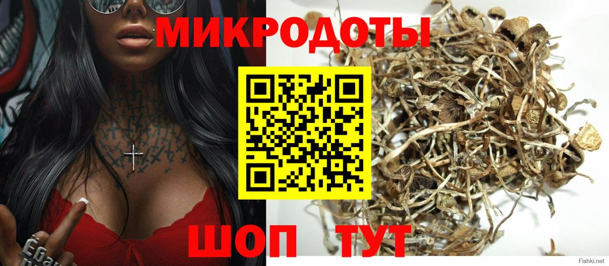 Камышин  Галлюциногенные грибы мухоморы  Вход с VPN  Псилоцибиновые грибы Cubensis 